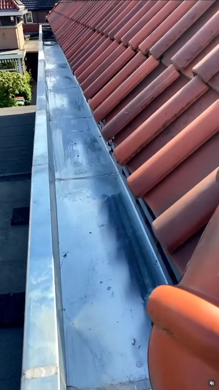 Instagram video
